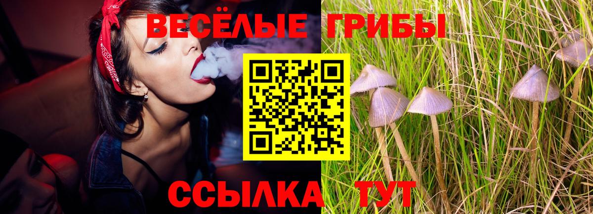 МДМА  Тверь  Вход с VPN  Где купить наркотики?  НБОМе  Конопля  Меф кристаллы 